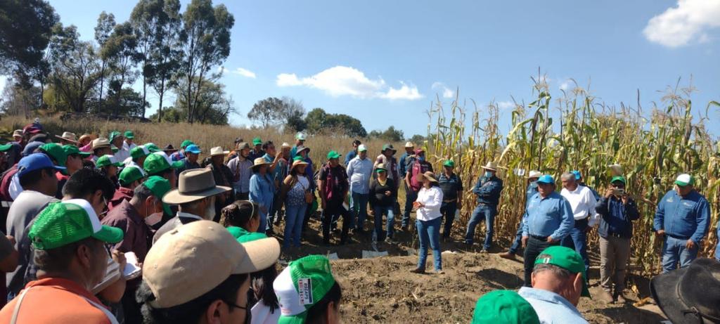 Recibe Tlaxcala a productores de la Ciudad de México en intercambio de  experiencias | Versus Tlaxcala